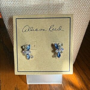 Blue Crystal Cluster Stud Earrings